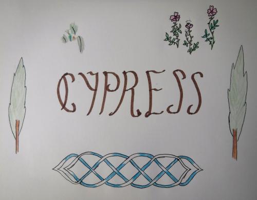 Cypress (illumination).jpg